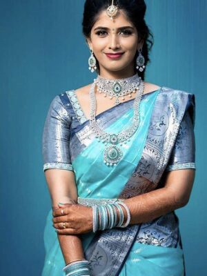 BEAUTIFUL RICH PALLU & JACQUARD WORK ON ALL OVER THE SAREE