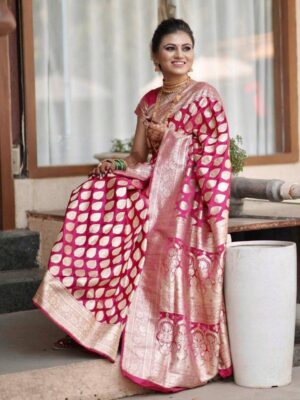 EXCLUSIVE JACQUARD BORDER SAREE