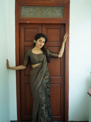 BEAUTIFUL RICH PALLU & JACQUARD