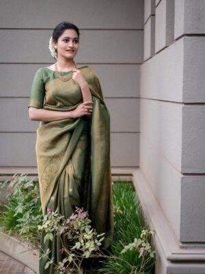 BEAUTIFUL RICH PALLU & JACQUARD WORK SAREE