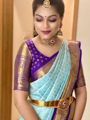 BEAUTIFUL RICH PALLU AND JACQUARD