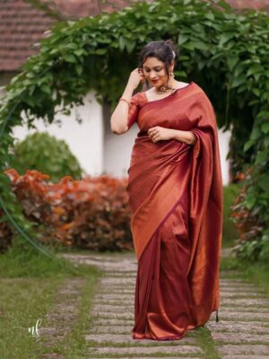 BEAUTIFUL RICH PALLU & JACQUARD