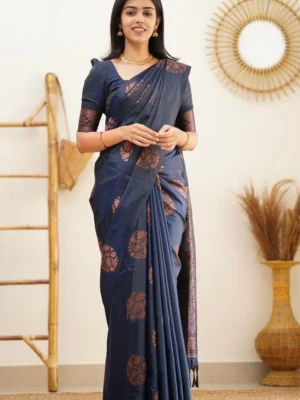 BEAUTIFUL RICH PALLU & JACQUARD