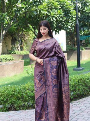 BEAUTIFUL RICH PALLU & JACQUARD WORK