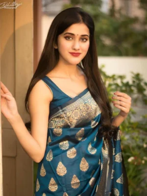 SOFT LICHI SILK CLOTH SAREE