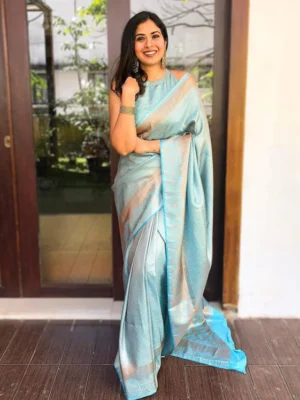 JACQUARD WORK ON ALL OVER THE SAREE